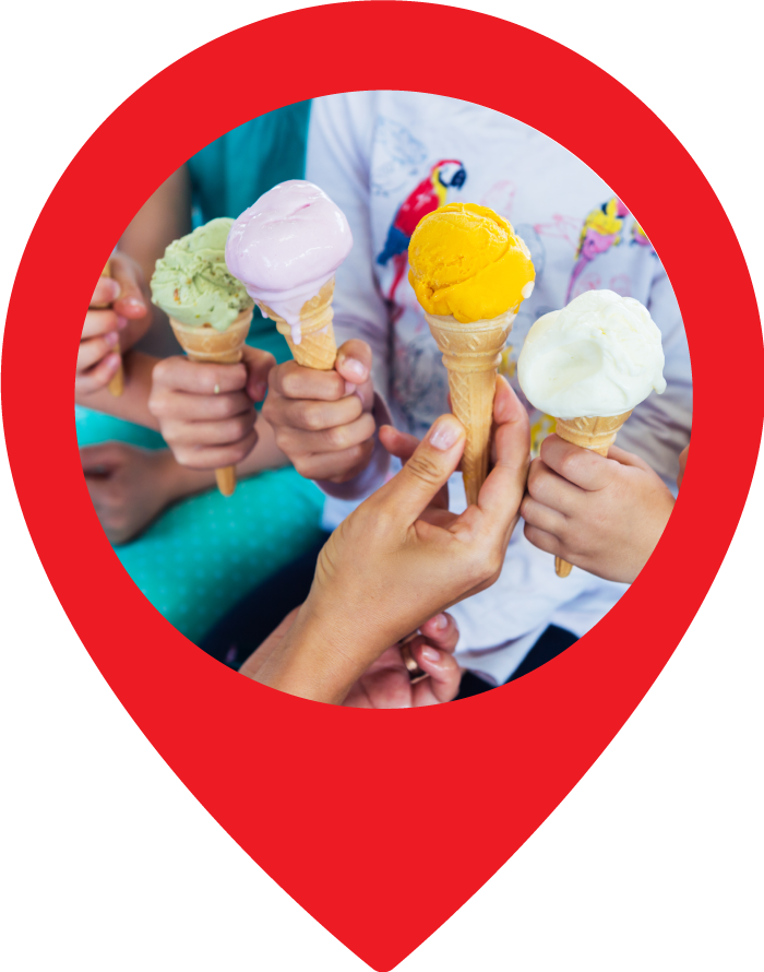Loyalty Program Software