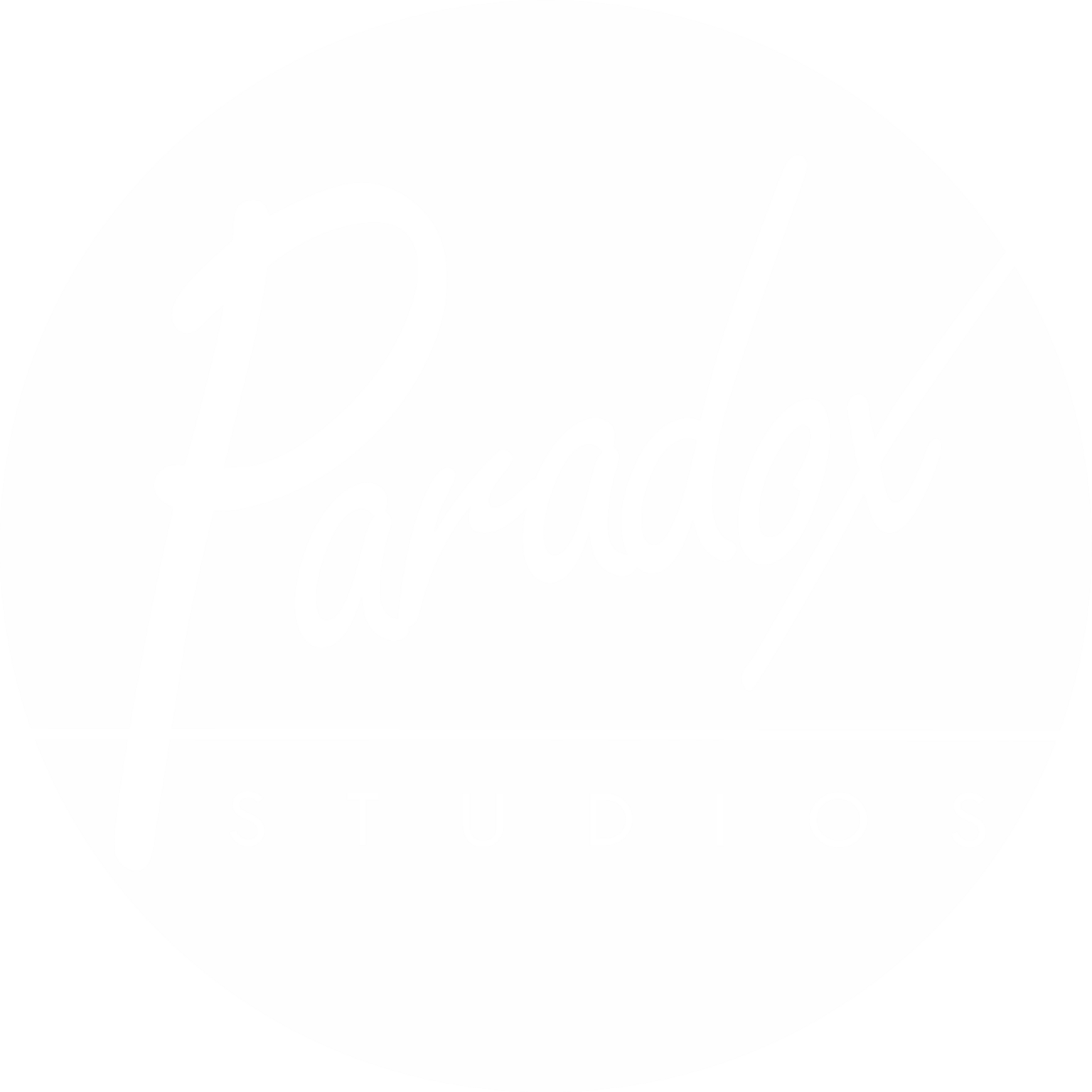 Professional website design development agency in jamaica paradox