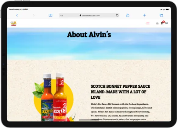 iPad-PRO-11-alvinshotsauce.com
